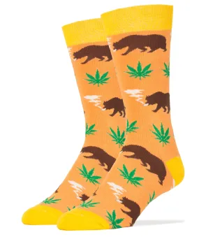 Beary California Socks