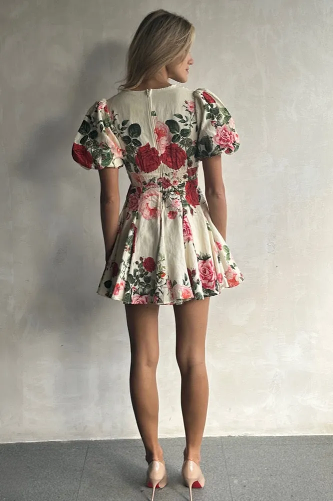 Naaz Skater Dress