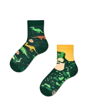 The Dinosaurs Kids Socks